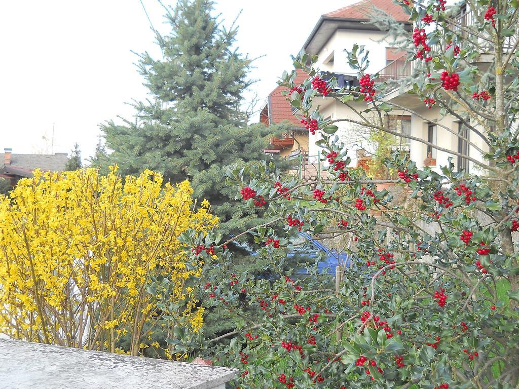 Apartment & Rooms Miboti Samobor Exterior photo